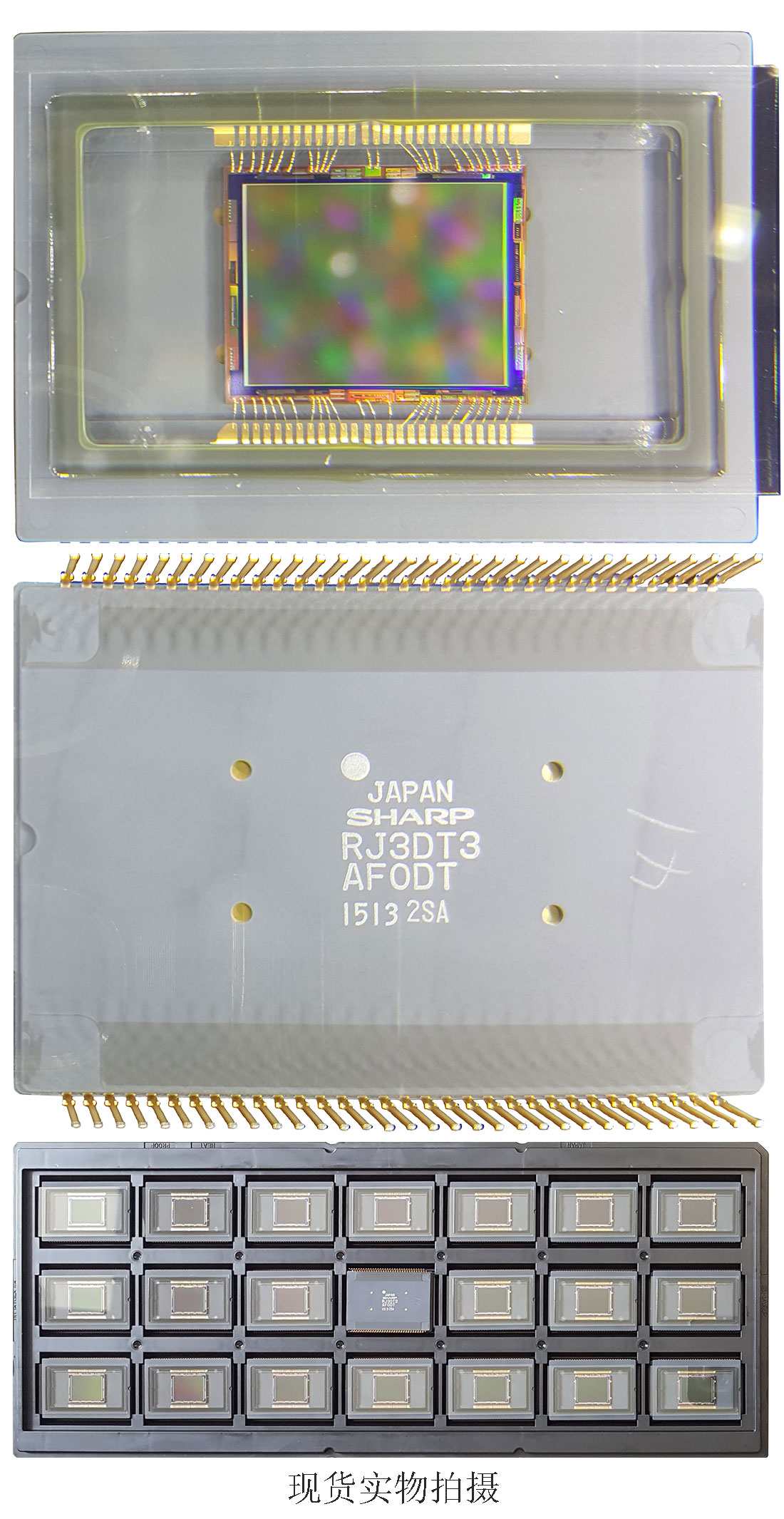 夏普SHARP CCD1 1-inch