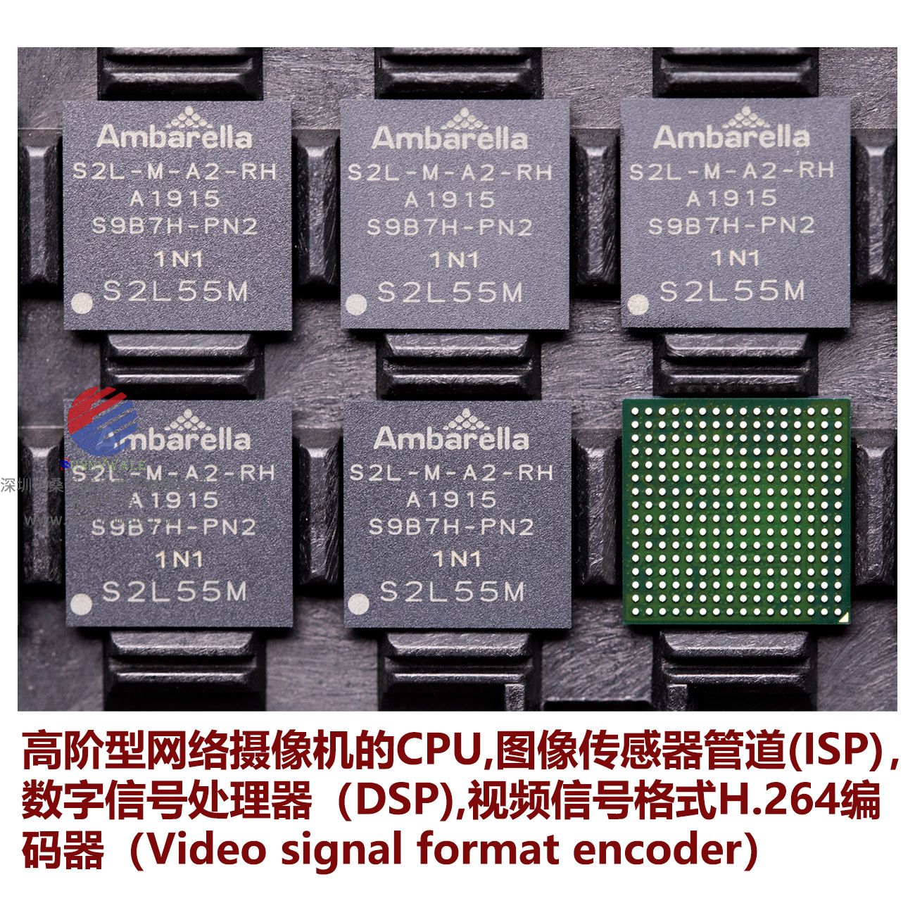 S2L55M-A2-RH, 安霸Ambarella集成系统芯片平台SoC，进阶型网络监控摄像机IP， 摄像机600Mhz ARM， Cortex-A9 CPU， 高性能数字信号处理(DSP)子系统、图像传感器管道(ISP)， 高清H.264编解码引擎