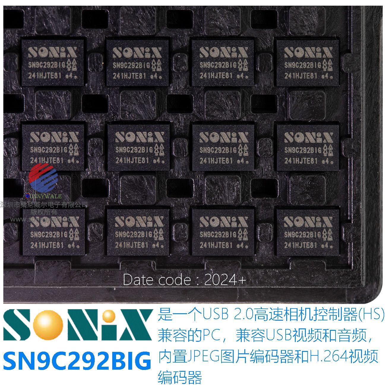 SN9C292BIG DATASHEET