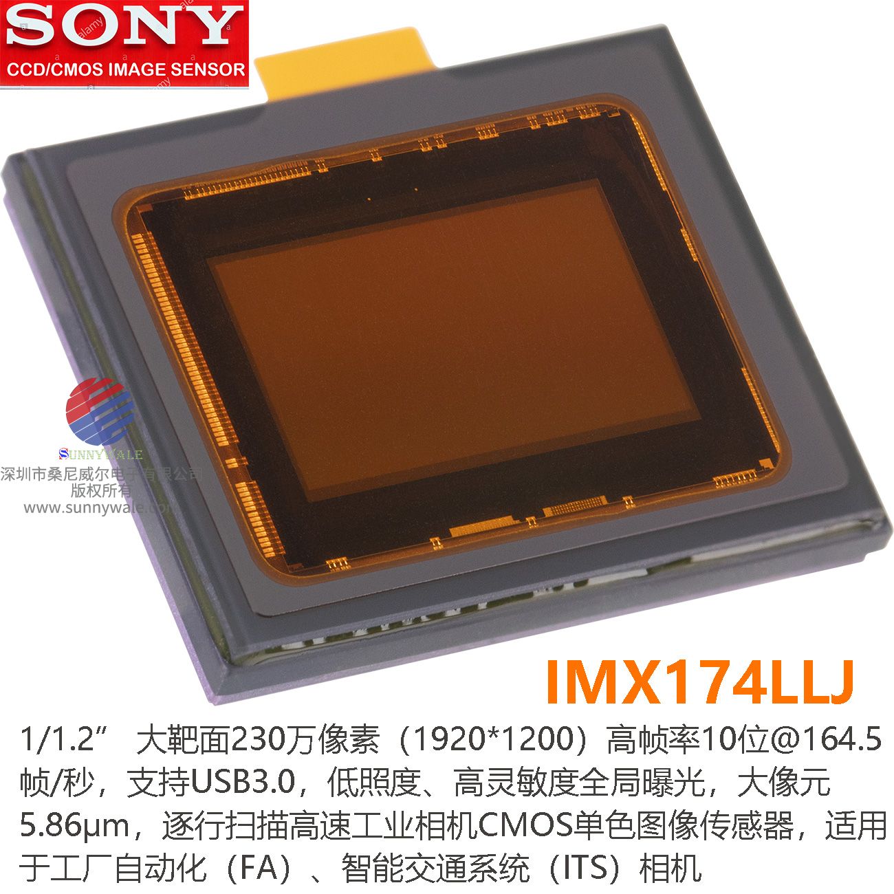 IMX174LLJ datasheet