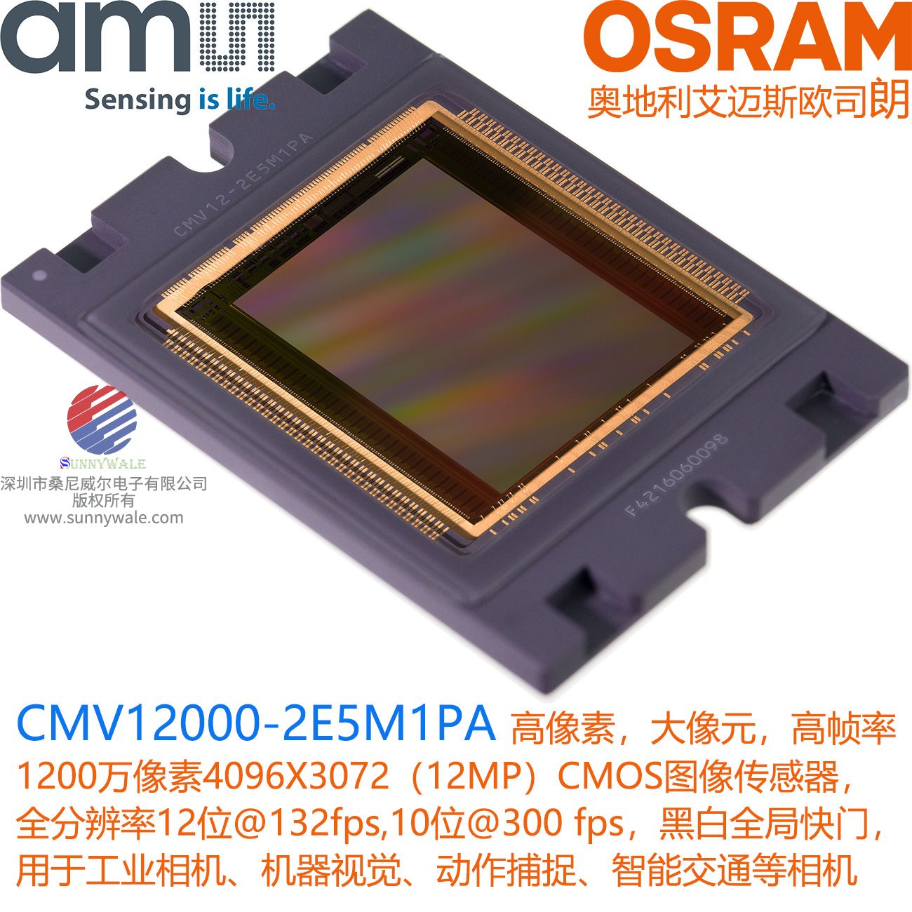 CMV12000-2E5M1PA datasheet